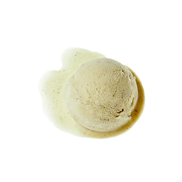 Le Botteghe di Leonardo